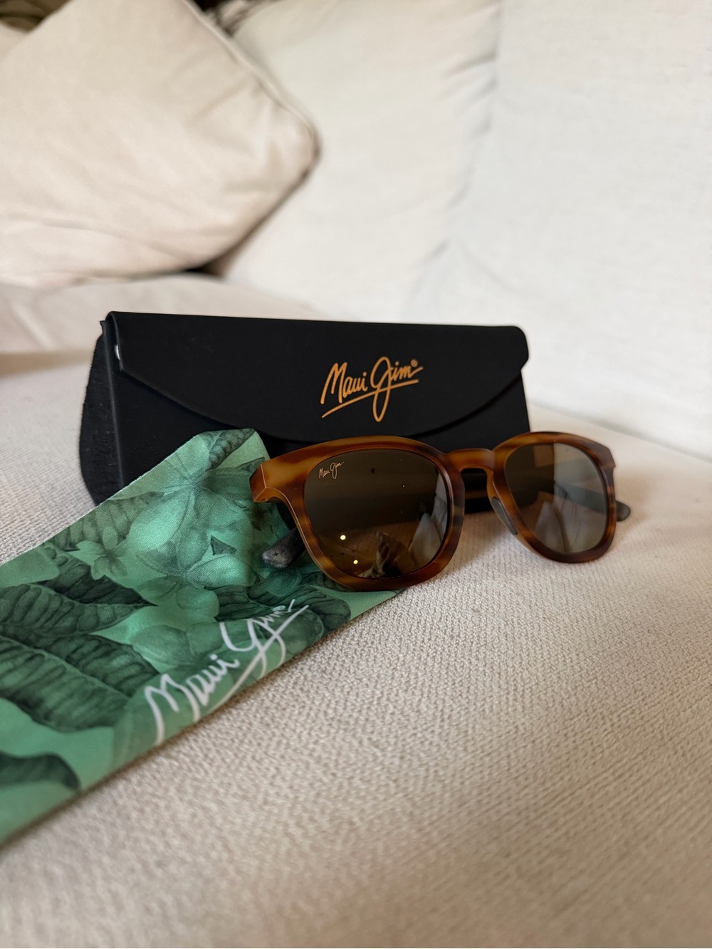 Sunglasses with case